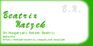 beatrix matzek business card